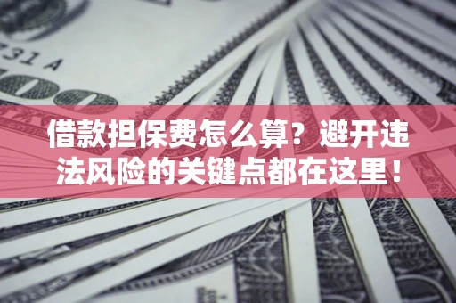 济南借款担保费怎么算？避开违法风险的关键点都在这里！