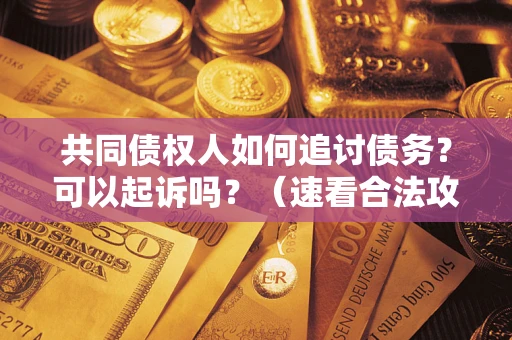 济南共同债权人如何追讨债务？可以起诉吗？（速看合法攻略）